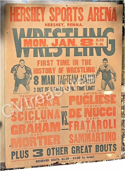 WWWF Original Wrestling WWWF Concert Poster Sports Memorabilia Poster Bruno Sammartino Toro Tanaka 1967/68